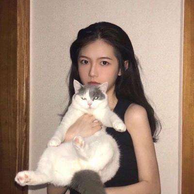 王的战纪手游最新版下载